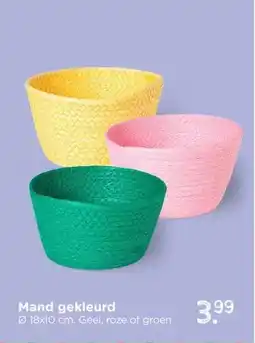 Xenos Mand gekleurd aanbieding