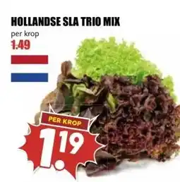 MCD Supermarkt HOLLANDSE SLA TRIO MIX aanbieding