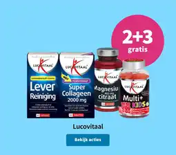 Plein.nl Lucovitaal aanbieding