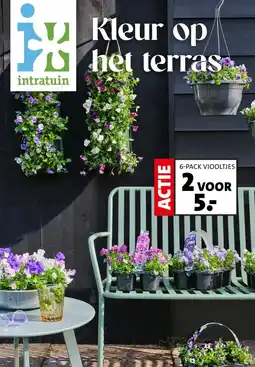 Intratuin Kleur op het terras aanbieding