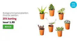Intratuin Biologische kamerplanten. Diverse soorten. aanbieding