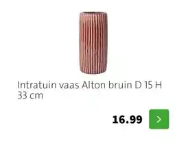 Intratuin Intratuin vaas Alton bruin D 15 H 33 cm aanbieding