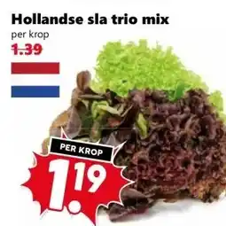Coop Hollandse sla trio mix aanbieding