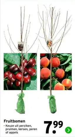 GAMMA Fruitbomen aanbieding