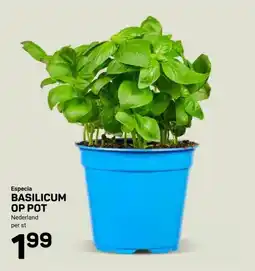 Ekoplaza Especia BASILICUM OP POT aanbieding