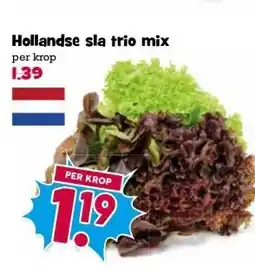 Boon`s Markt Hollandse sla trio mix aanbieding