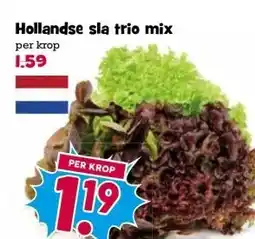 Boon`s Markt Hollandse sla trio mix aanbieding