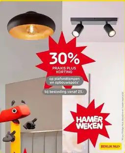 Praxis op plafondlampen en opbouwspots aanbieding