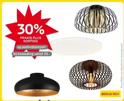 Praxis op plafondlampen aanbieding
