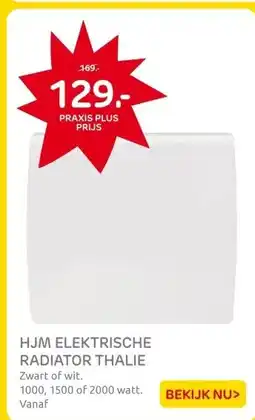 Praxis HJM elektrisch radiator Thalie 1000W aanbieding