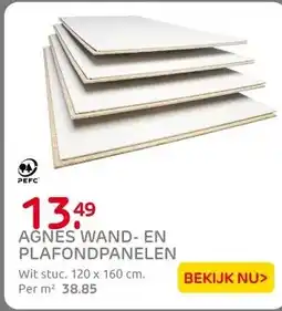 Praxis Agnes wand-en plafondplaat vochtwerend aanbieding