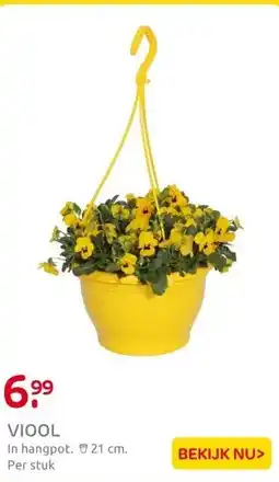 Praxis Buitenplant Viola gekleurde hangpot aanbieding