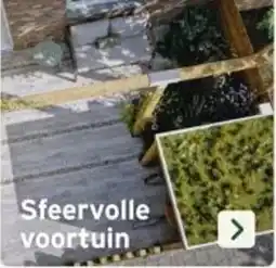 GAMMA Sfeervolle voortuin aanbieding