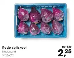 HANOS Rode spitskool aanbieding