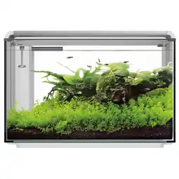 Pets Place Superfish Home Proled 85 Aquarium - Aquarium - Wit aanbieding