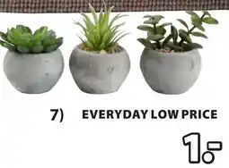 Jysk Bror kunstplant aanbieding