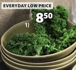 Jysk Sigurd schaal aanbieding