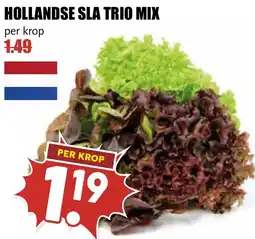 De Boerenschuur Hollandse sla trio mix aanbieding