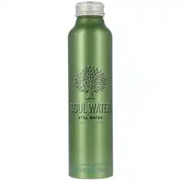 Holland & Barrett Soul Water Mineraalwater Fles - 500 ml aanbieding