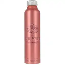 Holland & Barrett Soul Water Bruisend Mineraalwater Fles - 500 ml aanbieding