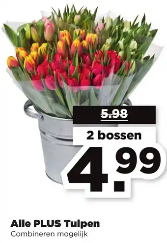 PLUS Alle Plus Tulpen aanbieding