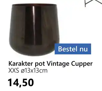 GroenRijk Karakter pot Vintage Cupper aanbieding