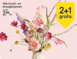 Leen Bakker Alle kunst en droogbloemen aanbieding
