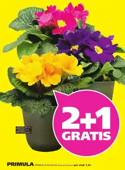 Ranzijn RANZIJN TUIN & DIER aanbieding