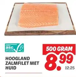 Dekamarkt HOOGLAND ZALMFILET MET HUID aanbieding