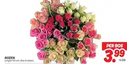 Dekamarkt ROZEN aanbieding