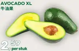 Amazing Oriëntal AVOCADO XL aanbieding