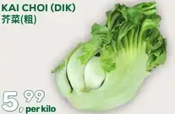 Amazing Oriëntal KAI CHOI (DIK) aanbieding