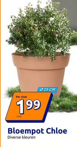 Action Bloempot chloe aanbieding