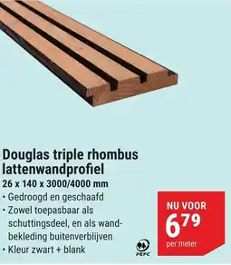 Pontmeyer Douglas triple rhombus lattenwandprofiel aanbieding