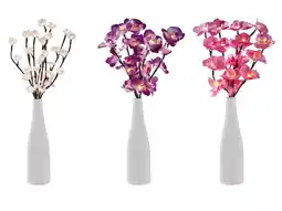 Lidl LIVARNO Vaas met lichtgevende tak aanbieding