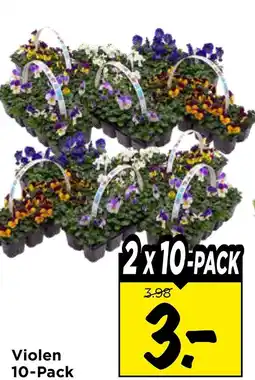 Vomar Voordeelmarkt Violen 10-Pack aanbieding