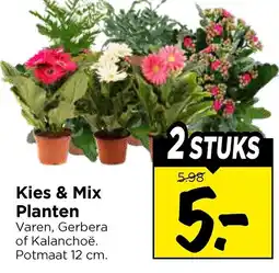 Vomar Voordeelmarkt Kies & Mix Planten aanbieding