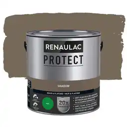 Praxis Renaulac Protect Muurverf - Mat - Shadow - 2,5L aanbieding
