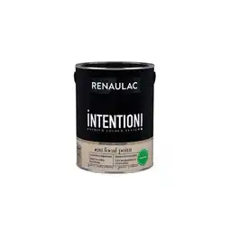 Praxis Renaulac Intention Muurverf - Extra Mat - Focal Point - 5L aanbieding