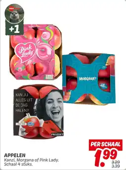 Dekamarkt Appelen aanbieding