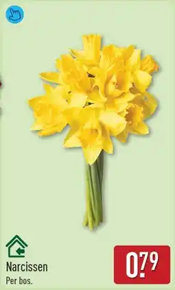 ALDI Narcissen aanbieding