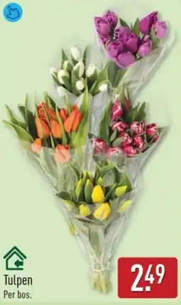ALDI Tulpen aanbieding
