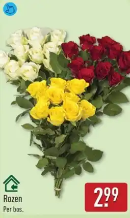ALDI Rozen aanbieding