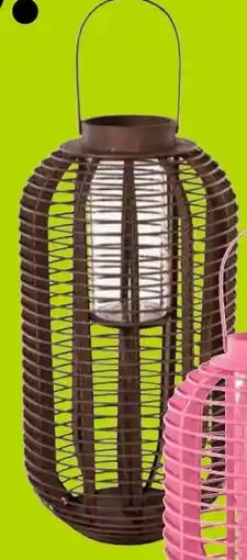 Kwantum Lantaarn Bradford Walnoot aanbieding