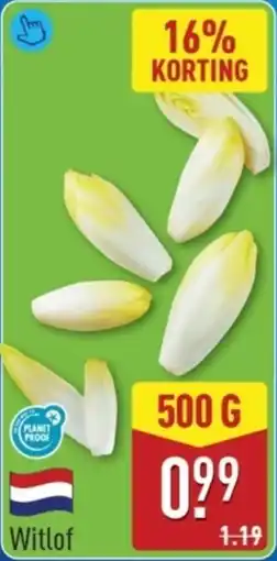 ALDI Witlof aanbieding