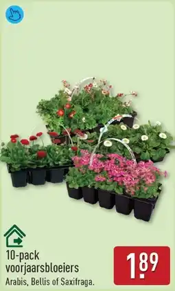 ALDI Voorjaarsbloeiers aanbieding