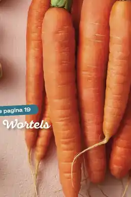 Boodschappen Wortels aanbieding