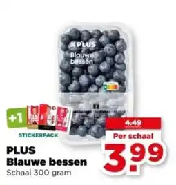 PLUS PLUS Blauwe bessen aanbieding