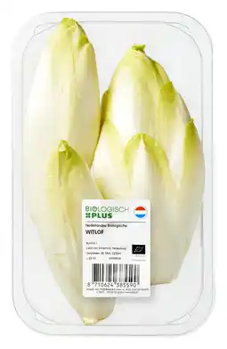PLUS Biologisch PLUS Witlof aanbieding