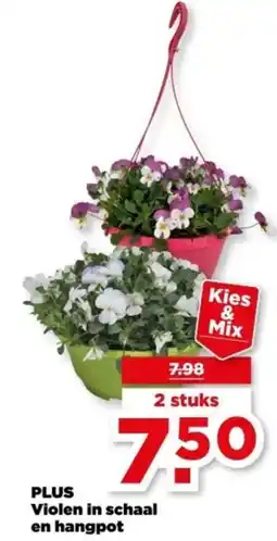 PLUS PLUS Violen in schaal en hangpot aanbieding